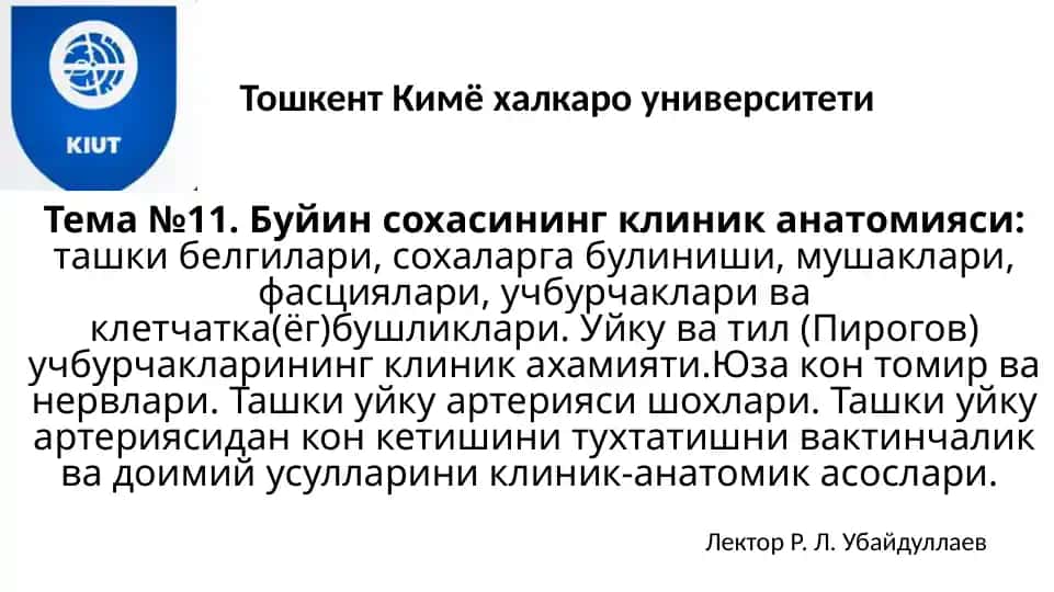 Тема №11. Буйин сохасининг клиник анатомияси