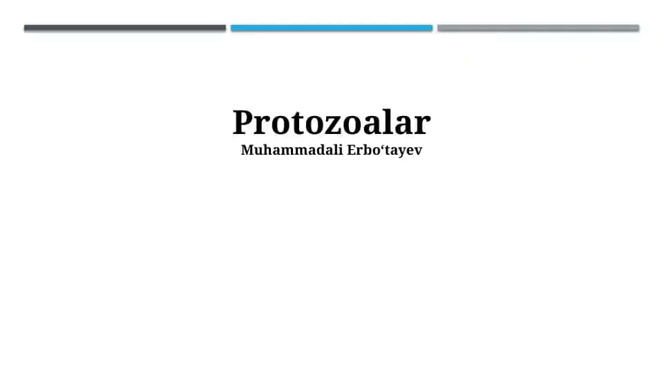Protozoalar