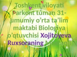 Biologiya darsi: Zamburug’lar dunyosi