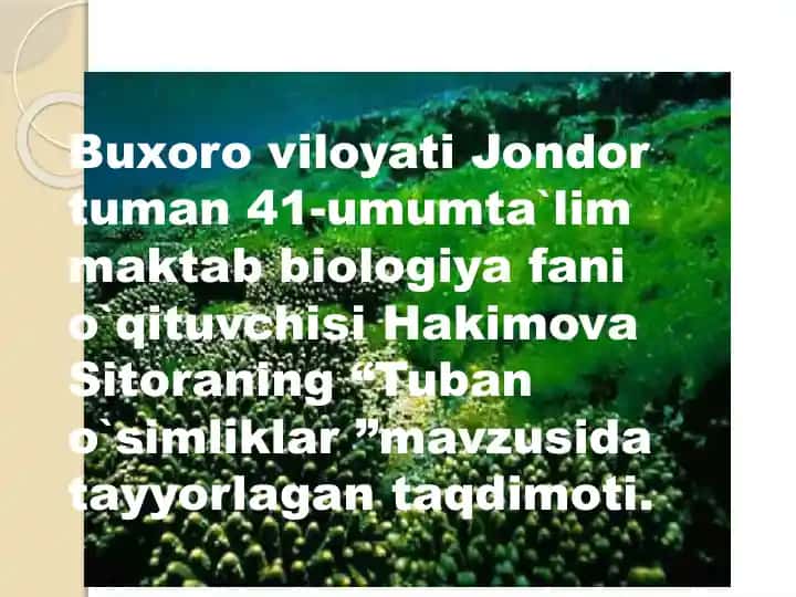 Tuban o`simliklar