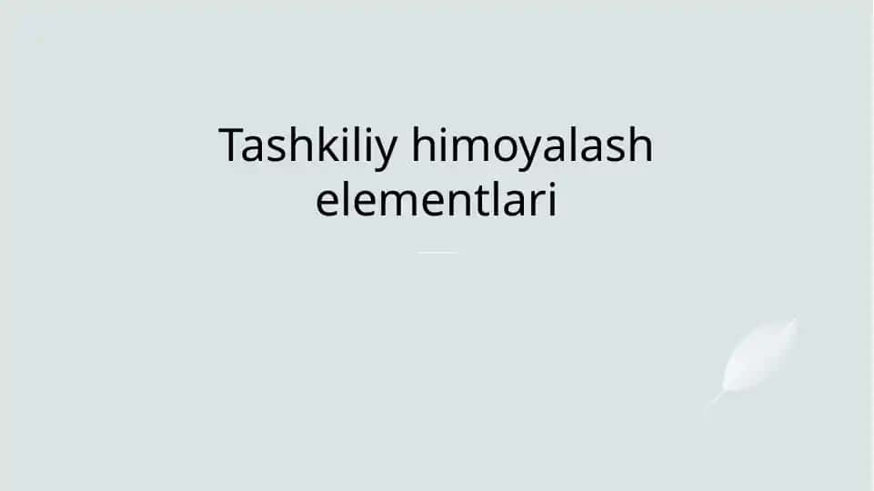 Tashkiliy himoyalash elementlari