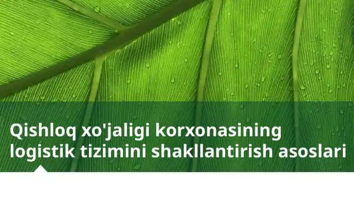 Qishloq xo'jaligi korxonasining logistik tizimini shakllantirish asoslari