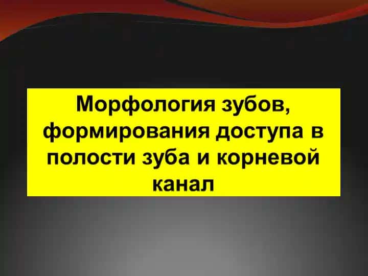 Топография полости зуба и каналов в разных группах зубов