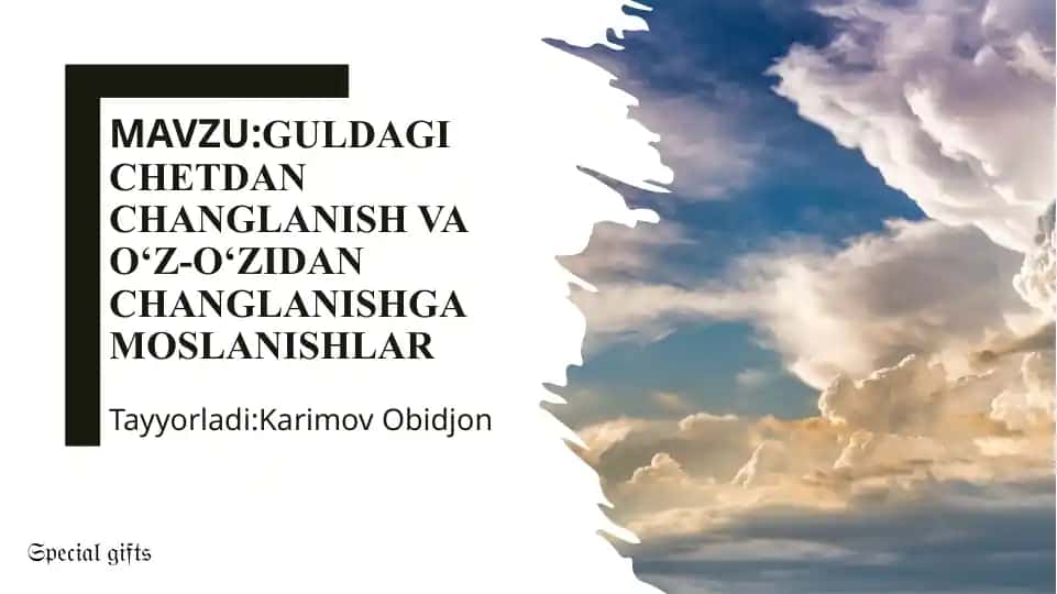 Changlanish haqida umumiy tushuncha