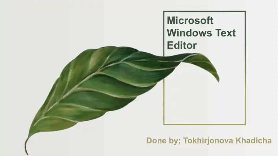 Microsoft Windows Text Editor