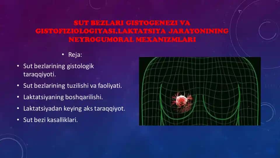 Sut bezlari gistoqenezi va gistofiziologiyasi. Laktatsiya jarayonining neyrogumoral mexanizmlari