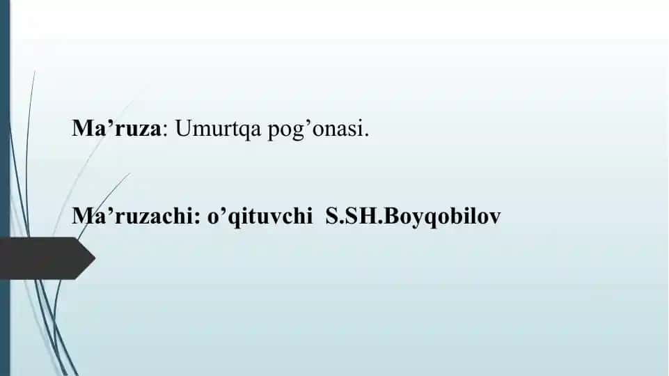 Umurtqa pog'onasi