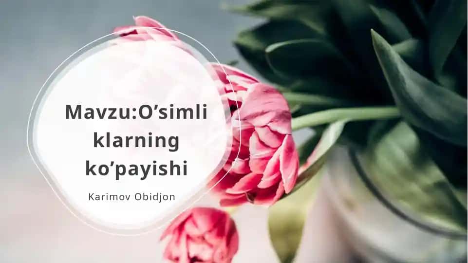 O’simliklarning ko’payishi