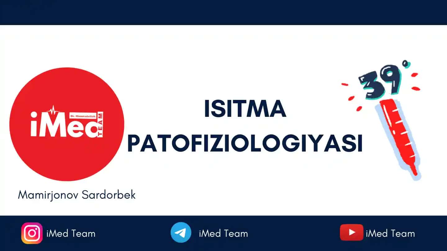 ISITMA