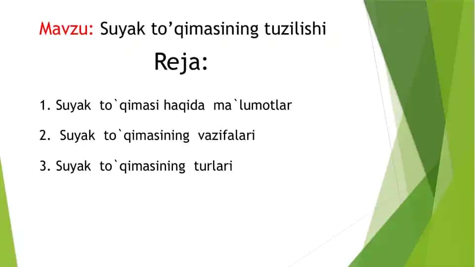 Suyak to’qimasining tuzilishi