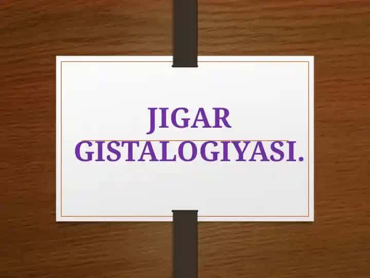 Jigar gistalogiyasi