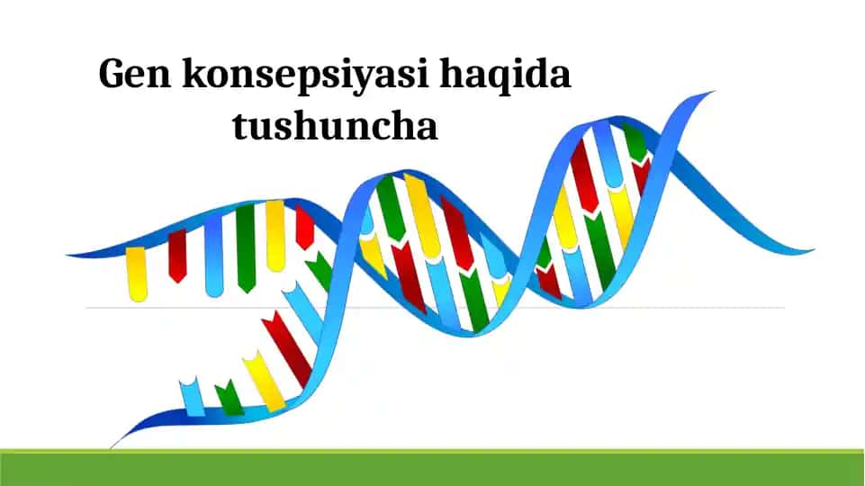 Gen konsepsiyasi haqida tushuncha