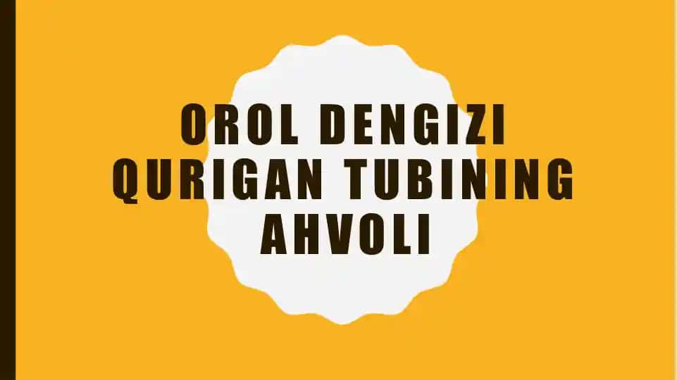 Oroldengizi qurigantubining ekologik ahvoli