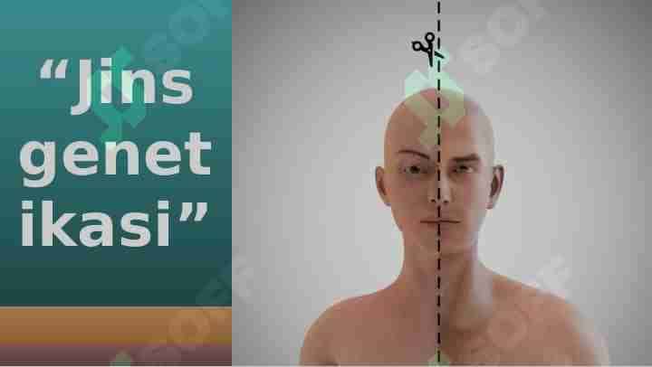“Jins genetikasi”