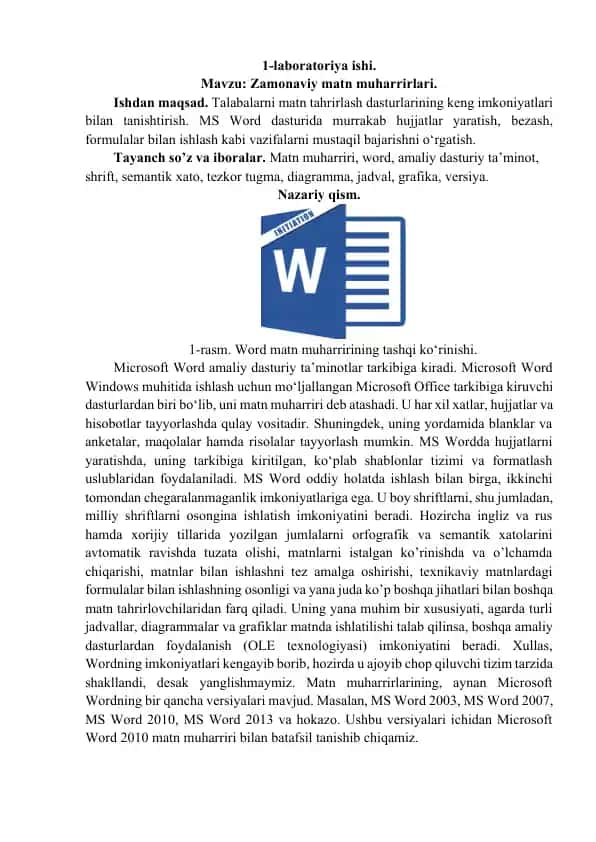Microsoft Word