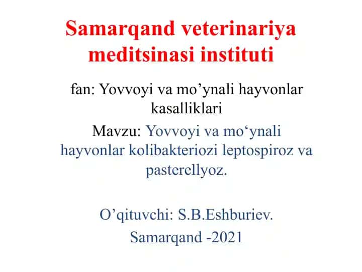 Samarqand Veterinariya Meditsinasi Instituti fan: Yovvoyi va mo‘ynali hayvonlar kasalliklari