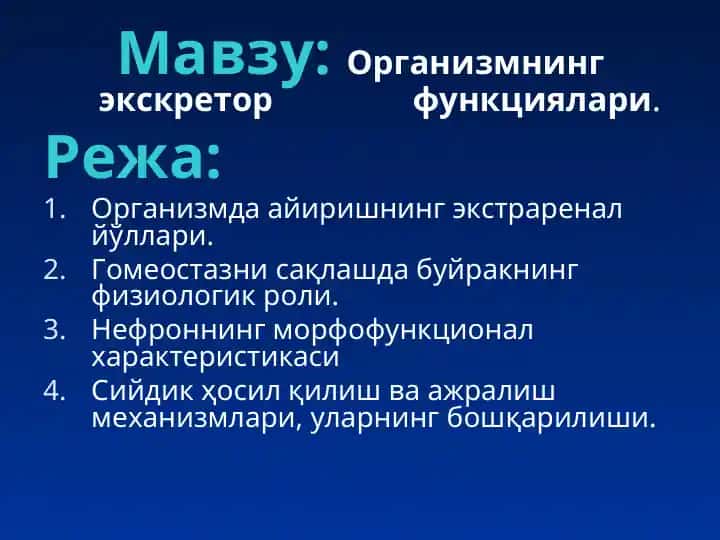 Организмнинг экскретор функциялари