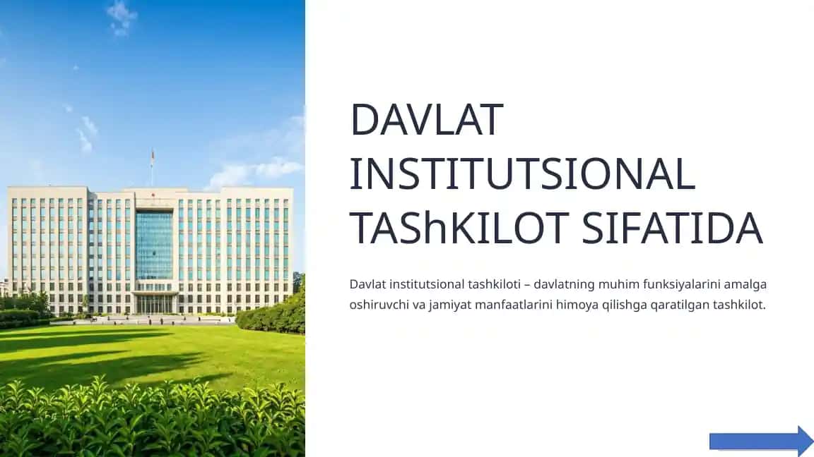 Davlat institutsional tashkiloti