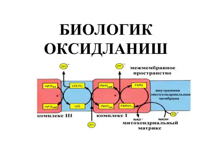 БИОЛОГИК ОКСИДЛАНИШ