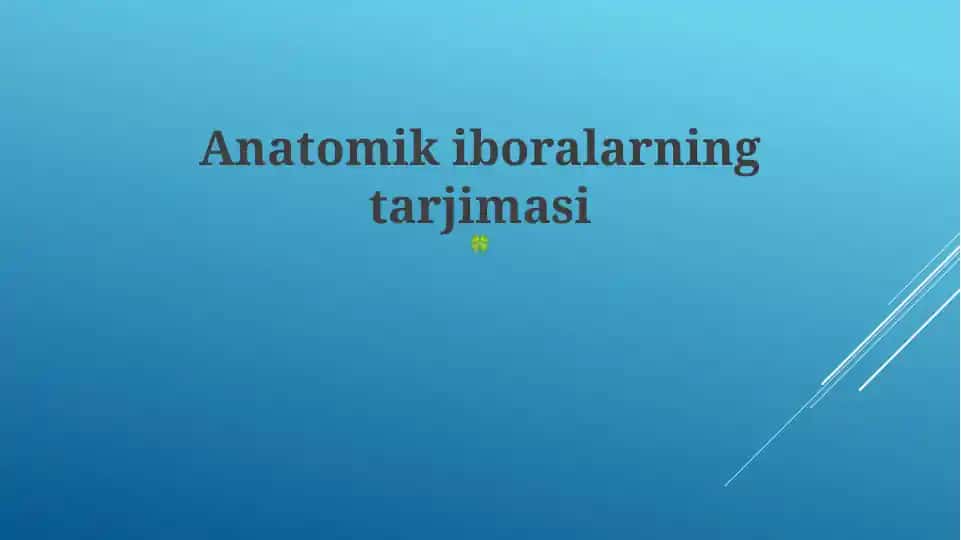 Anatomik iboralarning tarjimasi