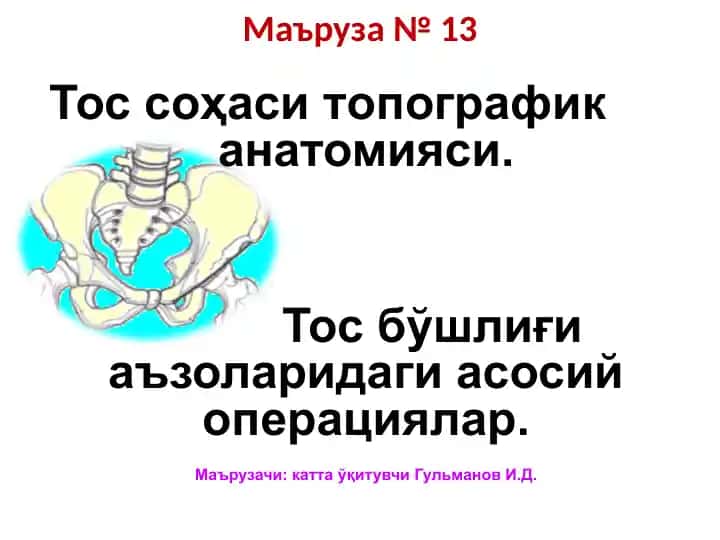 Тоссоҳаситопографиканатомияси