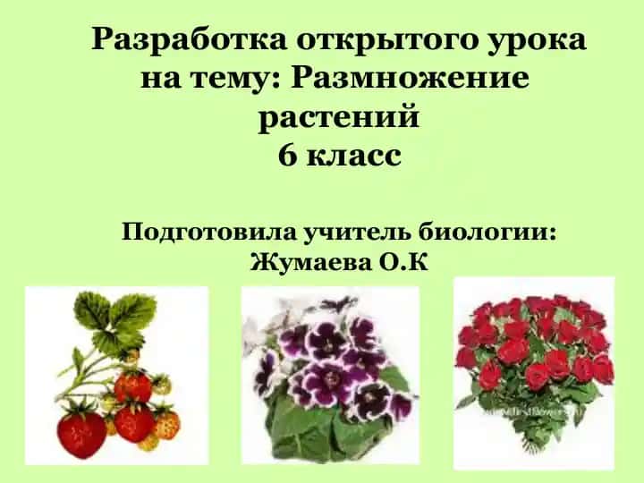 Разработка открытого урока на тему: Размножение растений