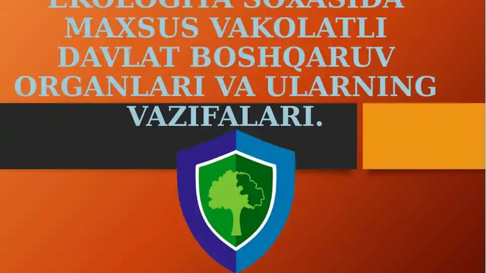 Ekologiya soxasida maxsus vakolatli davlat boshqaruv organlari va ularning vazifalari