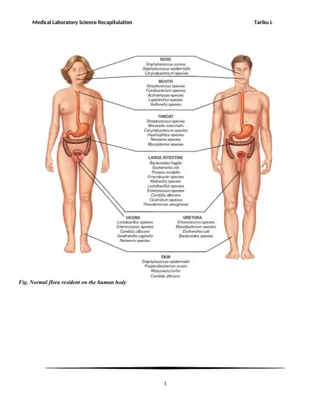 Medical Laboratory Science Recapitulation