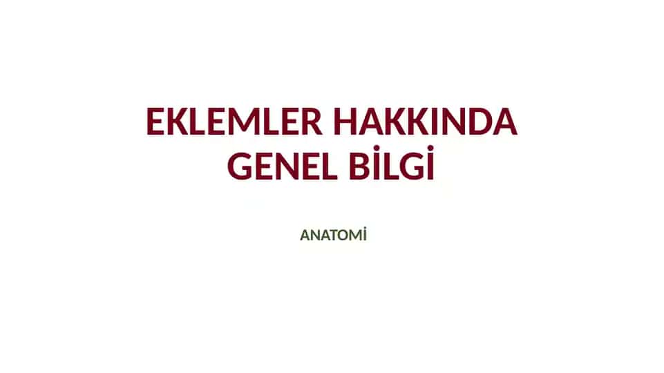EKLEMLER HAKKINDA GENEL BİLGİ