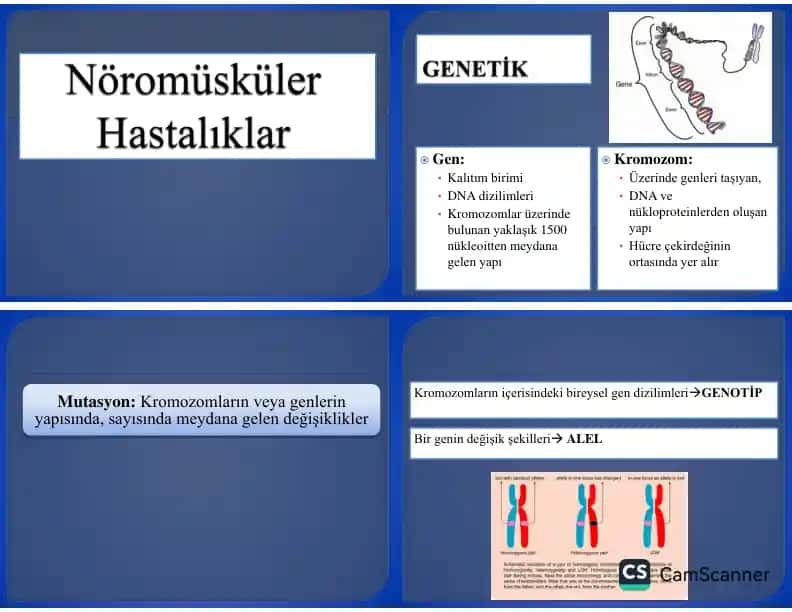 Genetika va genetika ilmi