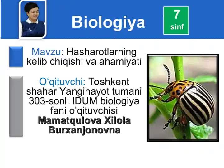 Hasharotlarning kelib chiqishi va ahamiyati