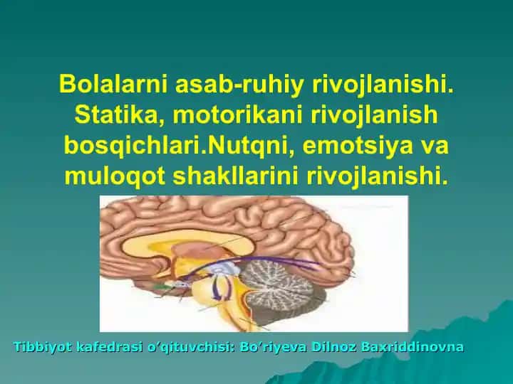 Bolalarni asab-ruhiy rivojlanishi