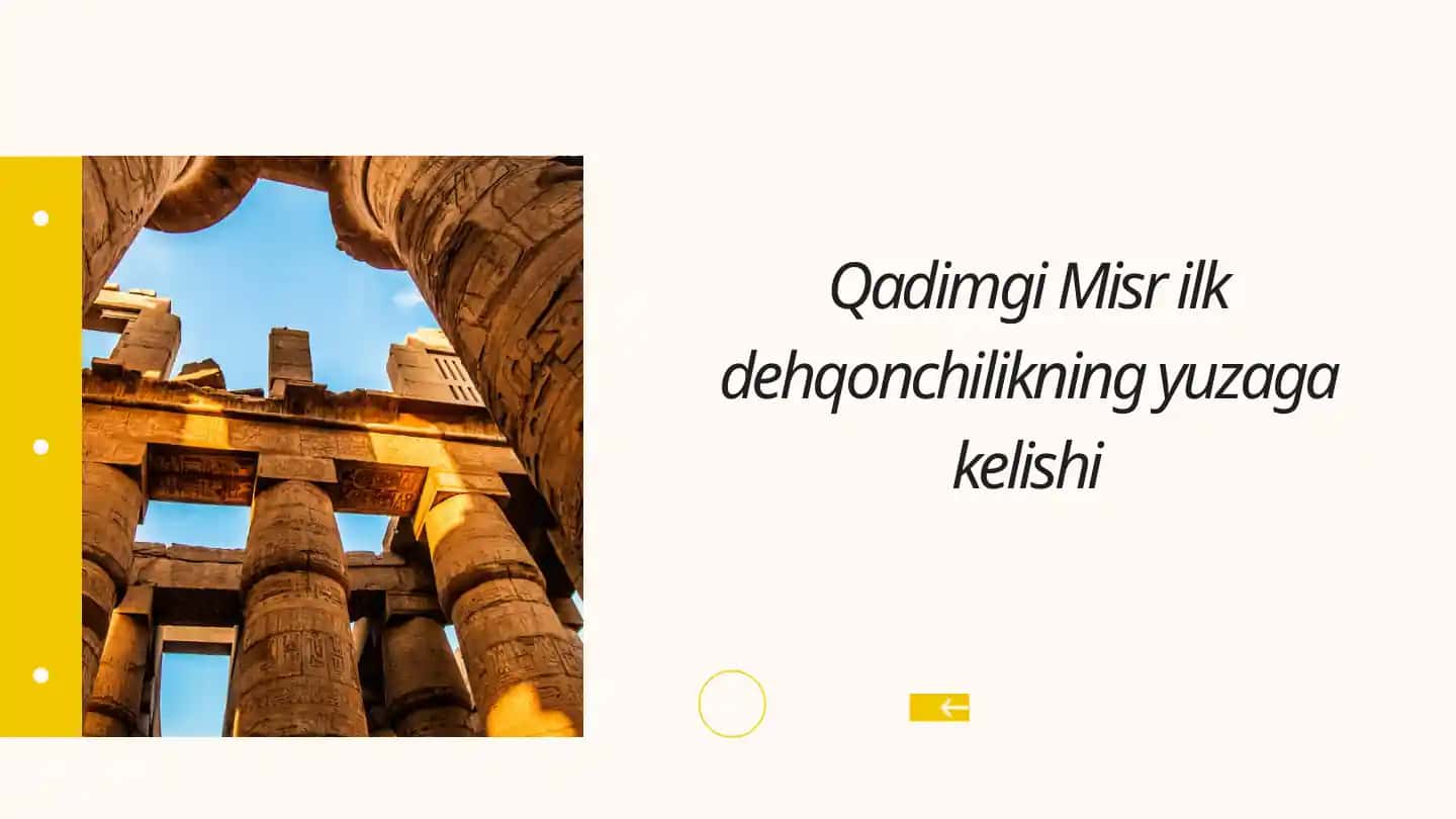 Qadimgi Misr ilk dehqonchilikning yuzaga kelishi