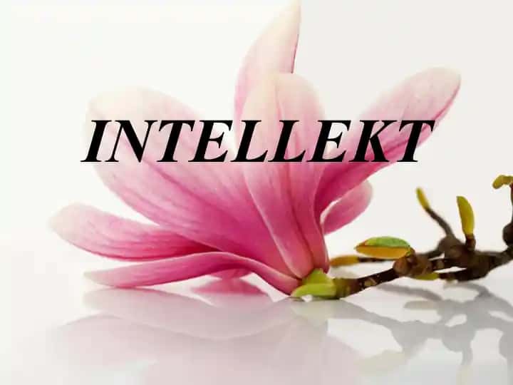Intellekt