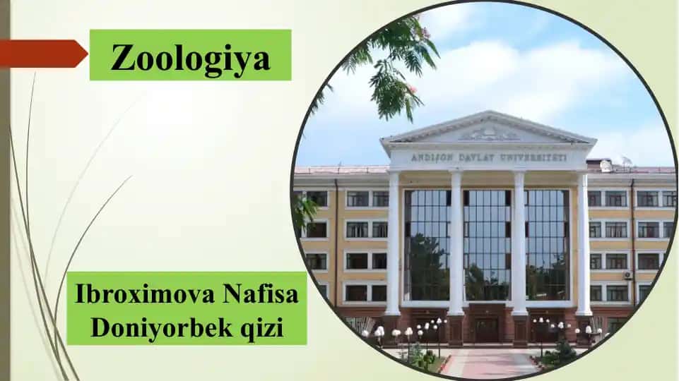 SUYAKLI BALIQLARNING TASHQI VA ICHKI TUZILISHI