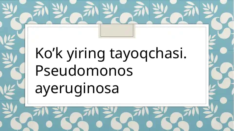 Koʻk yiring tayoqchasi