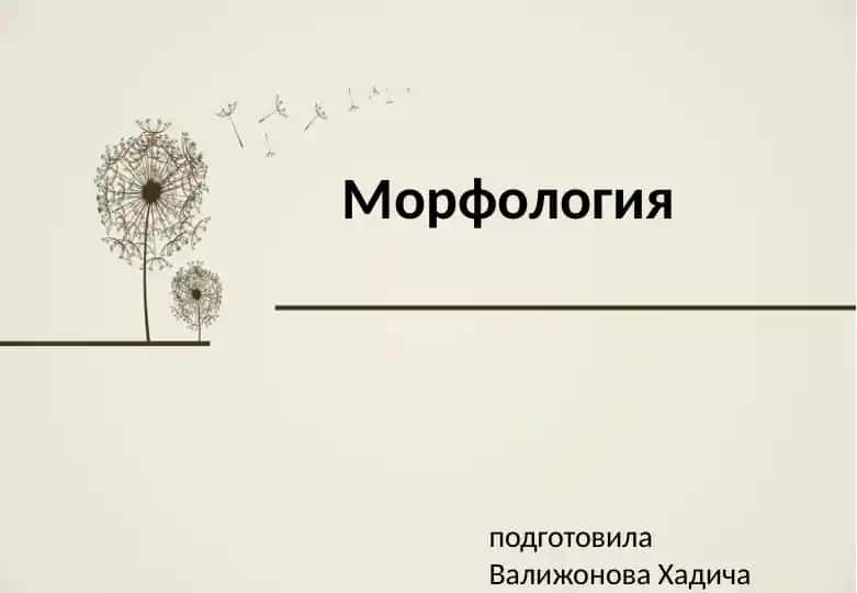 Морфология