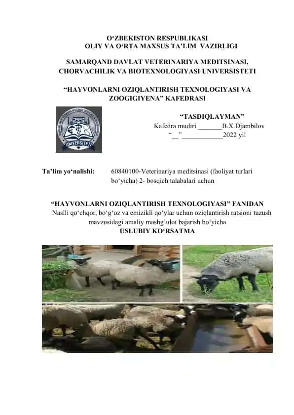 Naslli qo‘chqor, bo‘g‘oz va emizikli qo‘ylar uchun oziqlantirish ratsioni tuzush mavzusidagi amaliy mashg’ulot