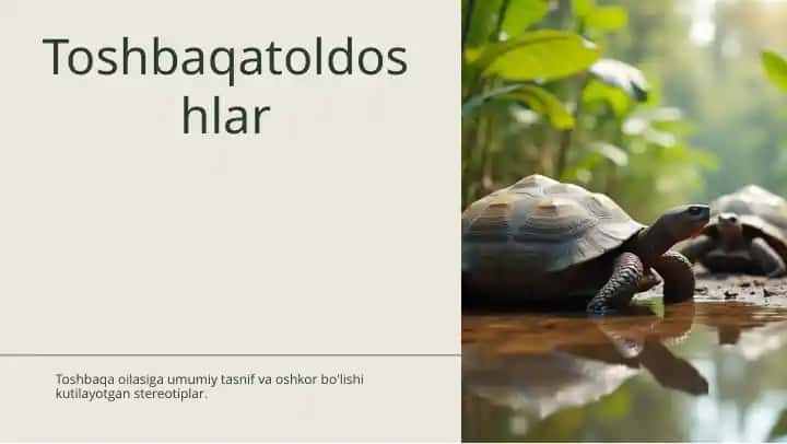Toshbaqatoldoshlar