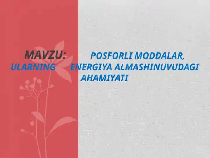 Fosforli moddalar, ularning energiya almashinuvudagi ahamiyati