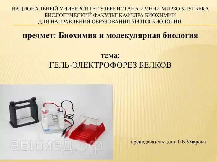 ГЕЛЬ-ЭЛЕКТРОФОРЕЗ БЕЛКОВ