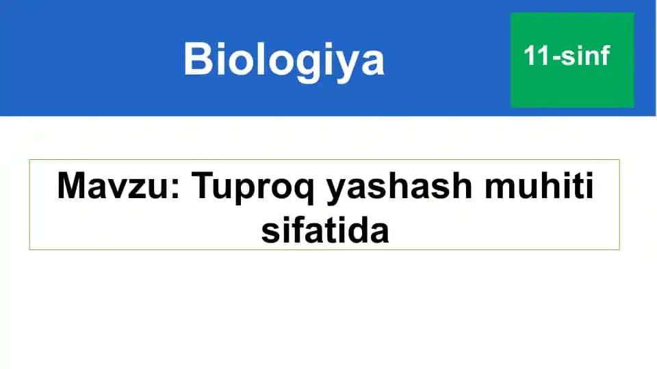 Tuproq yashash muhiti sifatida
