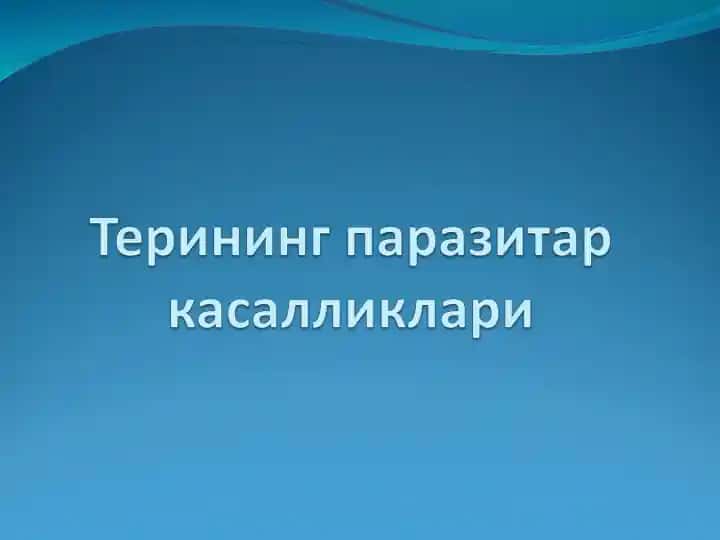 Терининг паразитар касалликлари