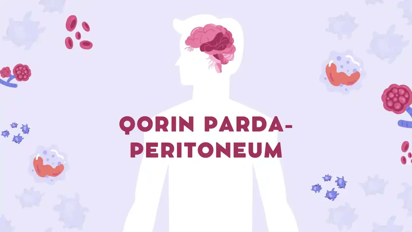 Qorin parda - peritoneum