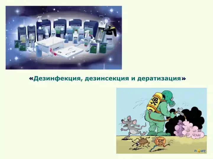 Дезинфекция, дезинсекция и дератизация