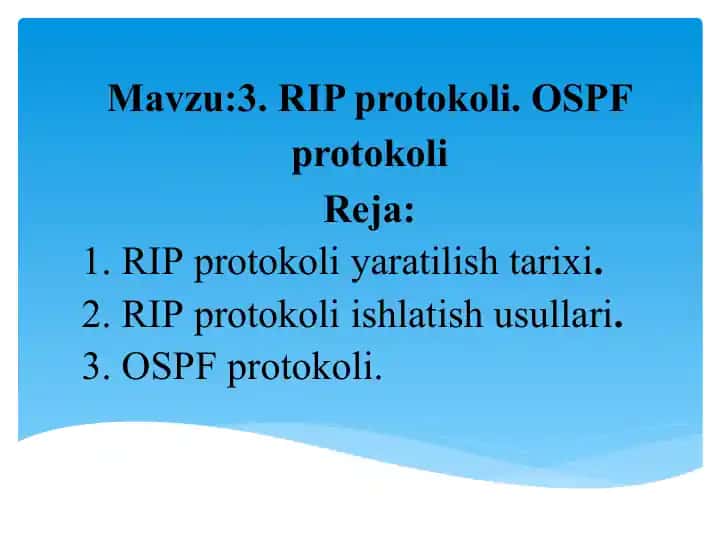 RIP protokoli