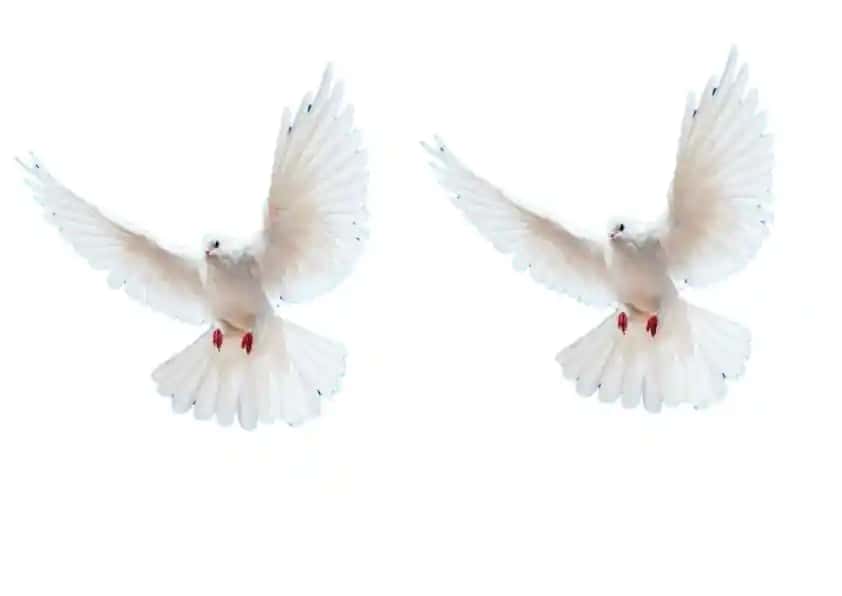 Fotoqrafiya asoslari