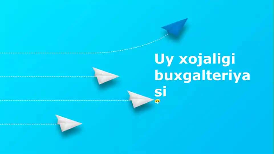 Uy xojaligi buxgalteriyasi