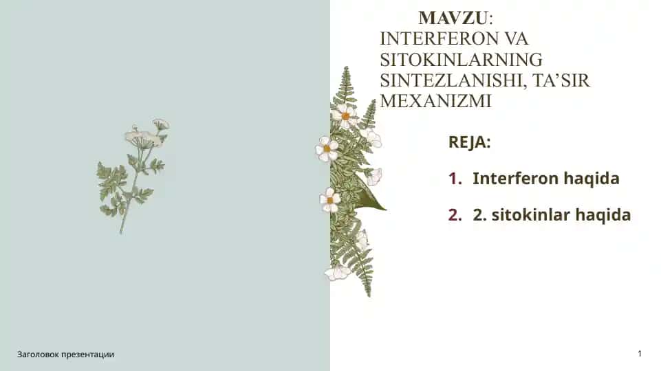 INTERFERON VA SITOKINLARNING SINTEZLANISHI, TA’SIR MEXANIZMI