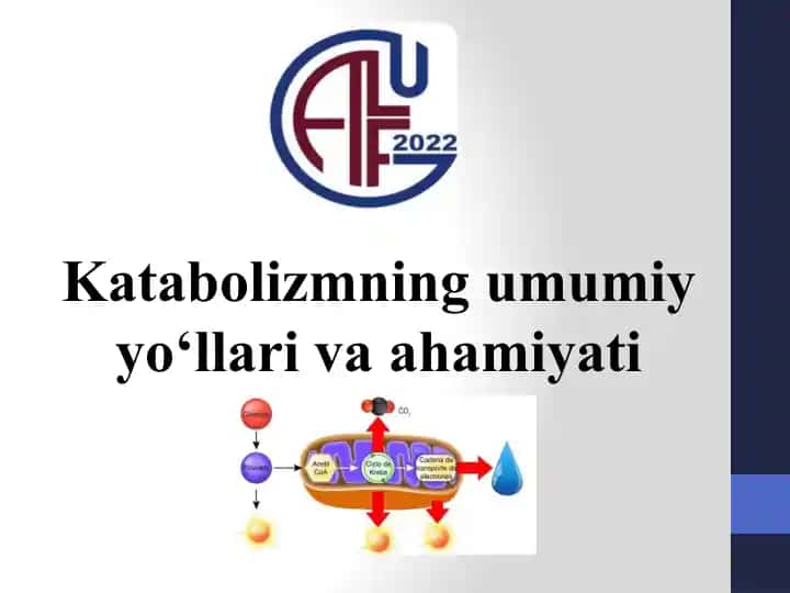 Katabolizmning umumiyyo‘lari va ahamiyati